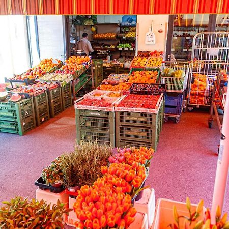 Vienna My City Apartment Garden View Exterior foto